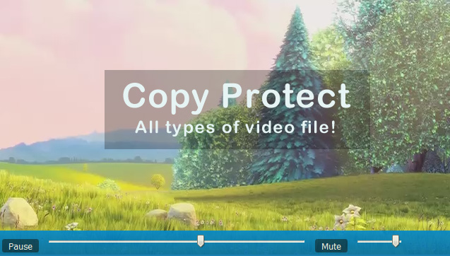 Copy protect video with site protection software