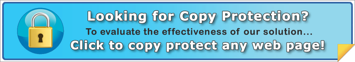 Test our copy protection with any web page