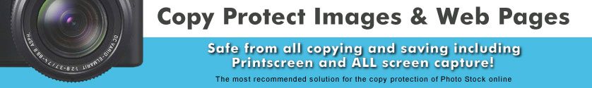 Copy protect images and web pages