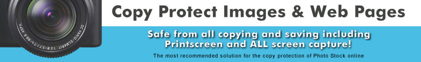 copysafe pdf protector