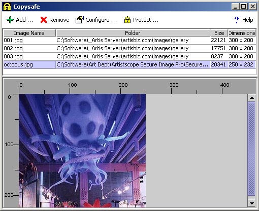 CopySafe Web Converter for image encryption