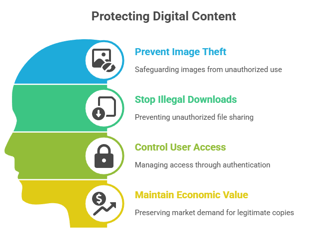 Schematic for protecting digital content
