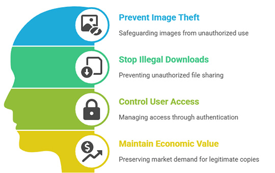 Copy protect images on web pages