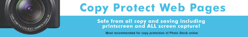 Copy protect images and web pages